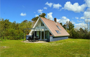 Lovely Home In Ringkøbing With Kitchen
